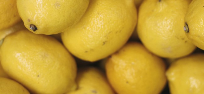 Dans quelques mois la Fête du Citron !