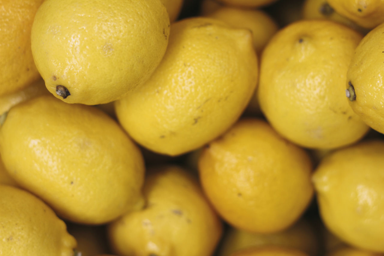 Recrutement pour la Fête du Citron 2015