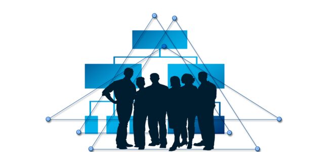 Le réseaux professionnel